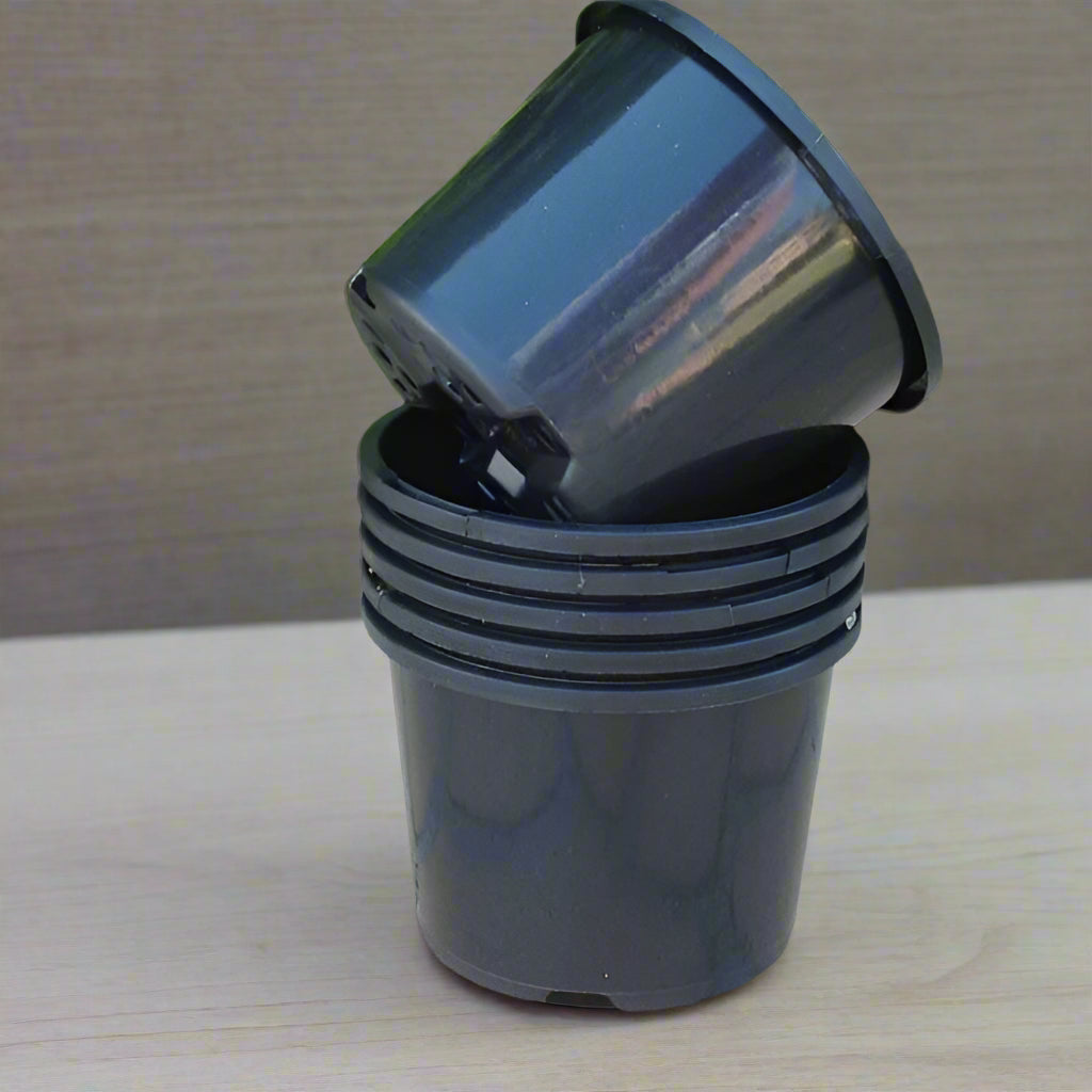 Nursey pots - pedPaudhe