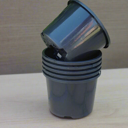 Nursey pots - pedPaudhe
