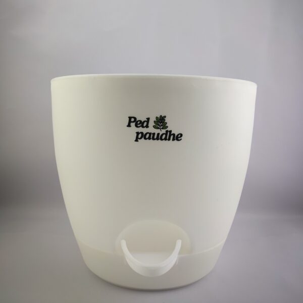 Self watering Pots